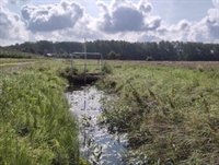 Waterbeheer in de landbouw: van bedrijf tot stroomgebied