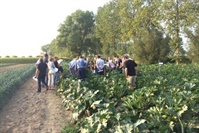 Presentatie studieavond ‘Beredeneerd beregenen van openluchtgroenten en aardappelen’