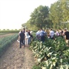 Presentatie studieavond ‘Beredeneerd beregenen van openluchtgroenten en aardappelen’