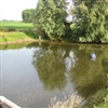 Wateropslag in agrarisch gebied: Hoe landschappelijk integreren?