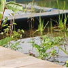 Studiedag Groenvoorziening 'Waterbeheer in natuurlijke groenzones'