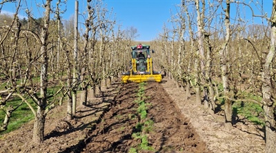 Gecompacteerde rijsporen bij meerjarig fruit