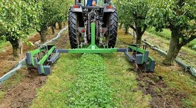 Waterinfiltratie bij hellende percelen meerjarig fruit