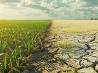 HydroSoilWise: toolbox voor telers en landbouwers om bodemvruchtbaarheid en waterbeheer te verbeteren