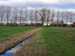 Beschermingsstroken langs waterlopen