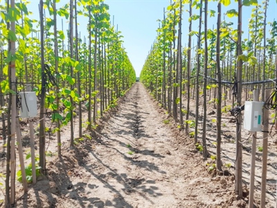 Eerste resultaten van alle partners van het project HydroSoilWise