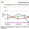 Figuur 4: Fosforgehalte in functie van de tijd in de bergingsvijver, na beide rietvelden en na beide fosforfilters