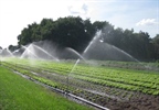 Normen voor water om te beregenen?