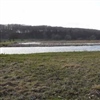 Drainagewater waarbij N wordt verwijderd d.m.v. een rietveld (omgeving Billund DK).