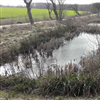 Rietvelden voor de verwijdering van N en P uit drainagewater (omgeving Billund DK).