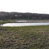 Drainagewater waarbij N wordt verwijderd d.m.v. een rietveld (omgeving Billund DK).