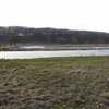 Drainagewater waarbij N wordt verwijderd d.m.v. een rietveld (omgeving Billund DK).