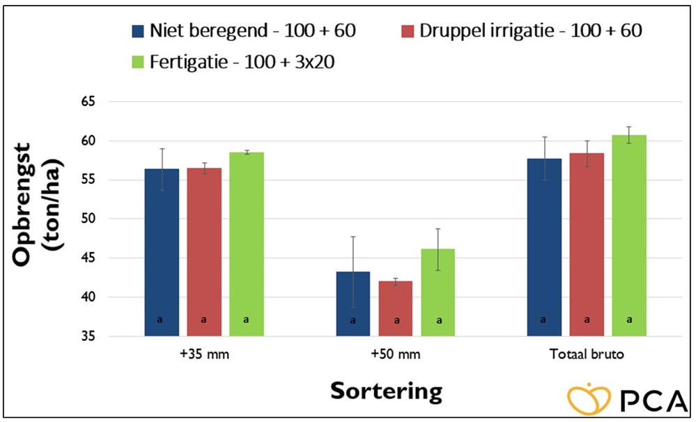 Figuur 1 – Opbrengst en sortering aan het einde van de teelt