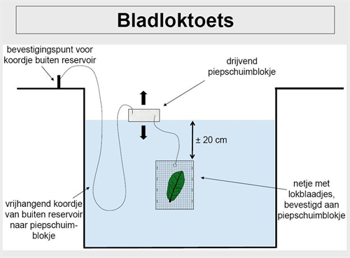 Figuur 1: Schema bladloktoets