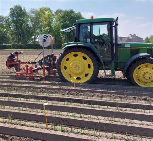 Tijdens het planten van de prei werden de druppelslangen mee in de rug getrokken.