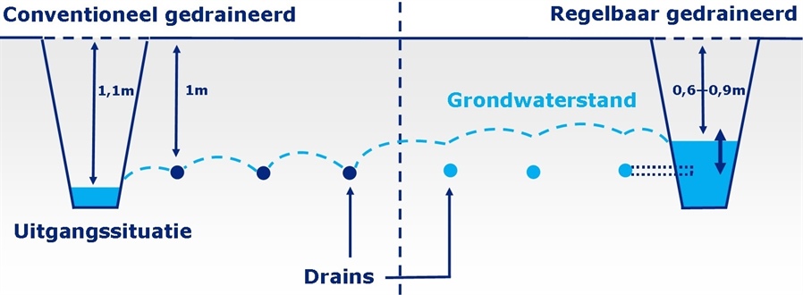 Schematische afbeelding peilgestuurde drainage