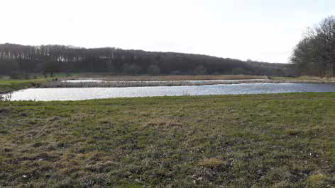 Drainagewater waarbij N wordt verwijderd d.m.v. een rietveld (omgeving Billund DK).