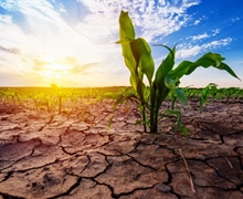 Presentaties studiedag ‘Wapen je teelten tegen droogte en noodweer'