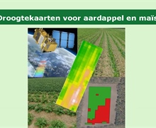 Variatie in kaart: bij droogte een droogtekaart, op de tractor als taakkaart