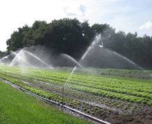Normen voor water om te beregenen?