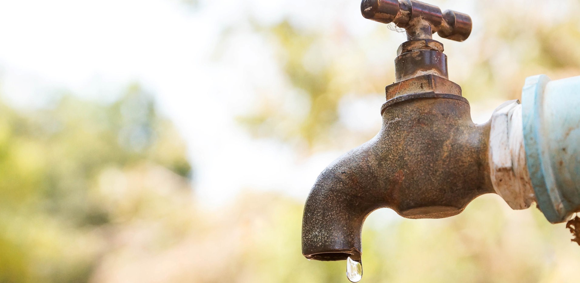 Leidingwater is te rijk aan natrium en chloride of kalk, waardoor het niet altijd geschikt is als gietwater in de tuinbouw.